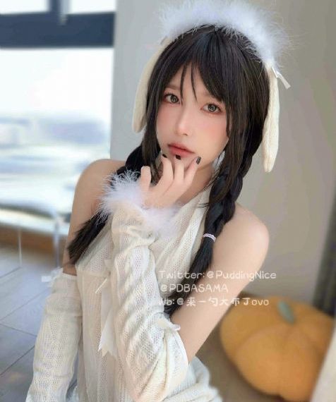 以爱为营电视剧免费观看全集