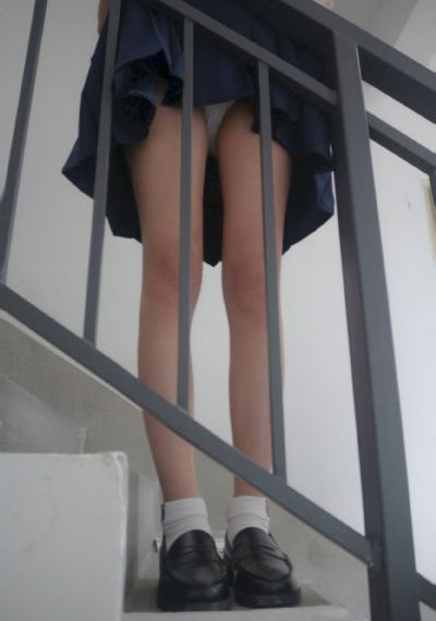 天鹅影视免费追剧