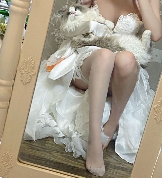 《绿色椅子》在线观看