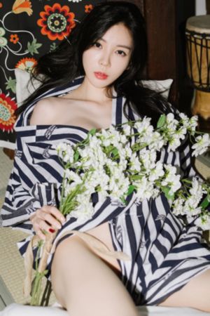 完美婚姻的定式 电视剧