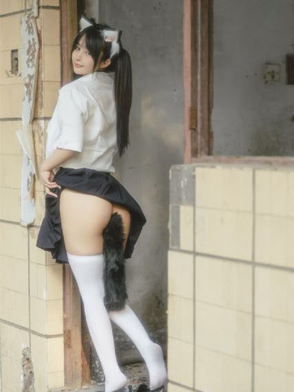 茶杯孤