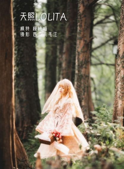女老师3在线观看
