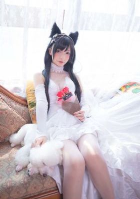 甄嬛传在线免费观看